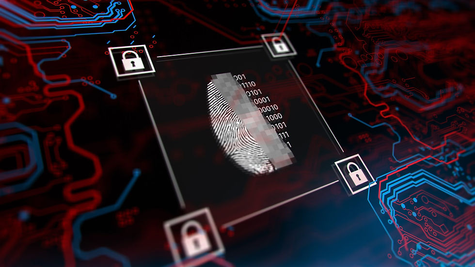 5 Best Network Vulnerability Scanning Tools in 2024