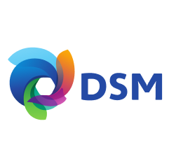 DSM