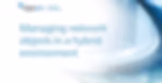 Managing network objects in hybrid environments